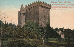 BLARNEY CASTLE - Cork