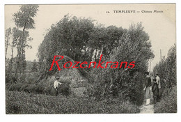 Templeuve Chateau Massin Animation Travail Campagen Agriculture CPA RARE France Frankrijk Carte Postale Animee - Other & Unclassified