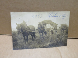 GENEVILLIERS (92) Carte Photo Scène Agricole Attelages De Chevaux Gros Plans - Gennevilliers