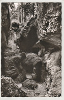 Pottenstein, Fränk. Schweiz, Schlucht An Der Teufelshöhle, Bayern - Pottenstein