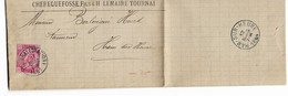 PM314/ TP 38 S/LAC Cherequefosse Fils &H.Lemaire Cuir En Gros Tournai Obl. Tournai(Station) 11/3/1884 > Ham S/Heure - 1883 Leopold II