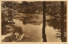 CHINY-LACUISINE - Le Débarcadère - N'a Pas Circulé - Edit. : Ch. Jacob, Florenville - Chiny