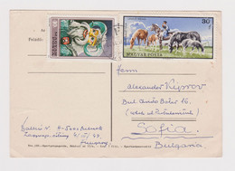 Hungary Ungarn Ungheria Postal Chess, Schach, Scacchi Card 1970s W/Topic Stamps, Mask, Horse, Sent To Bulgaria (39647) - Brieven En Documenten
