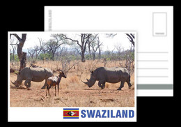 Swaziland / Eswatini / Postcard / View Card - Swasiland