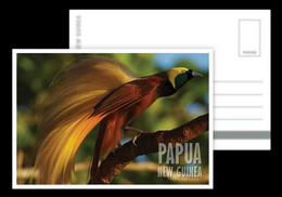 Papua New Guinea / Postcard / View Card - Papouasie-Nouvelle-Guinée