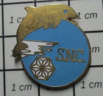 313H Pin's Pins / Beau Et Rare / SPORTS / CLUB NATATION SNC STADE NAUTIQUE CAENNAIS DAUPHIN - Nuoto