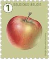 4803**- Fruits/Vruchten/Früchte - Pomme/Appel/Apfel/Apple - Grandes Dents/Grote Tanden/Große Zähne - Marijske Meersman - Rouleaux