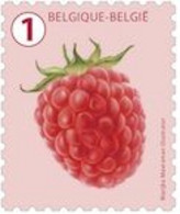 4807** - Fruits/Vruchten/Früchte - Framboise/Framboos/Himbeere - Grandes Dents/Grote Tanden/Große Zähne - Mersman - Coil Stamps