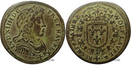 Allemagne - France - Nuremberg - Jeton De Nuremberg Louis XIV - Rechenpfennig Wolf Laufer - TB+ - Jet0132 - Royal/Of Nobility