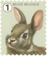 4956** - Lapin Sauvage / Wild Konijn - Animaux Des Jardins Belges / Dieren Van De Belgische Tuinen - Meersman - Conejos