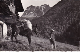 A ST LUC LA DESCENTE DU BLE AU MOULIN - Saint-Luc