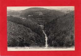 Environs De MONTFAUCON "Panorama Des Gorges De La DUNIERE CPA Année 1919 N° 1255 - Montfaucon En Velay