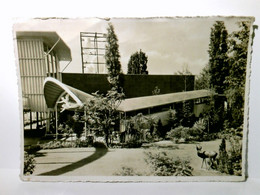 Schweizerische Landesausstellung 1939 In Zürich. Eingang Zum Kinderparadies. Schweiz. Alte Ansichtskarte / Pos - Risch-Rotkreuz