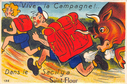 15-SAINT-FLOUR-CARTE A SYSTEME DEPLIANTE- VIVE LA CAMPAGNE- DANS LE SAC IL Y A SAINT-FLOUR - Saint Flour