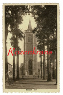 Ternat Kerk Sint-Gertrudiskerk Pajottenland  (in Goede Staat) - Ternat