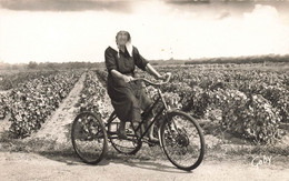 Vélo Ancien Tricycle Modèle Type Marque ? * Thème Cycle * Ile D'oléron * Femme Coiffe - Altri & Non Classificati