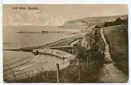 AK 118723 ENGLAND - Shanklin - Cliff Walk - Shanklin