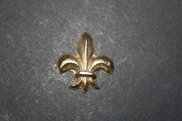 Fève De La Série LA BASTILLE DORÉE ( Bicentenaire Révolution 1789-1989 ) - Fleur De Lys  - Arguydal 1989 - (Réf. 002) - Storia