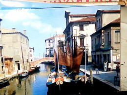 Chioggia Canal Vena Barche Pescatori Con Reti Bar Caffe Sadic .VB1966 X ESTERO  JG9062 - Chioggia