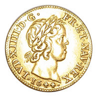 Pièce Royale Or - Louis XIV - Louis D'Or à La Mèche Courte - 1644 - A Paris - 1643-1715 Ludwig XIV.