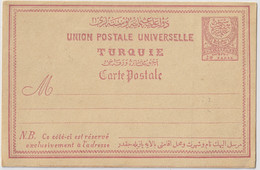 TURQUIE / TURKEY - 1884/91 - Mi.P14b 20p Pale Pink Mint Postal Card (writing On Back) - Lettres & Documents