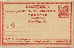 TURQUIE / TURKEY - 1884/91 - Mi.P14b 20p Pale Pink Mint Postal Card (writing On Back) - Lettres & Documents