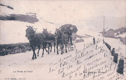 La Poste En Hiver à Situer, Attelage De 3 Chevaux Au Traîneau (cpn 9251) Rouille - Poste & Facteurs