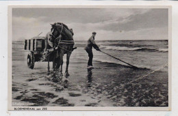 NOORD-HOLLAND - BLOEMENDAAL, Schelpenvisser, 195... - Bloemendaal