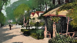 Rustic Arbour Alameda Gardens Gibraltar 1907 Used Postcard. Publ J.Ferrary & Co Gibraltar N 27/Purger &Co München N4867a - Gibraltar