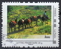 FRANCE - Montimbramoi - Anes - Ane - Donkeys - Donkey Esel Culo Burros Asino Asini Ezel Ezels - Fauna - Animals - Donkeys