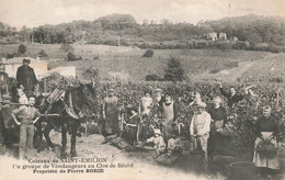 St émilion * Les Coteaux * Un Groupe De Vendangeurs Au Clos De Béard * Propriété De Pierre BORIE * Vigne Vignoble - Saint-Emilion