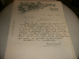 FATTURA E DOCUMENTO PREMIATA MACELLERIA MASTRA 1913 - Austria