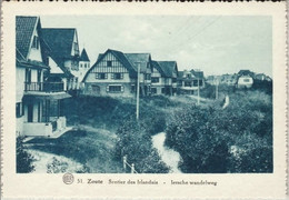 ZOUTE (Knokke) - Sentier Des Irlandais - N'a Pas Circulé - Edition Sports & Pastimes, Zoute - Knokke