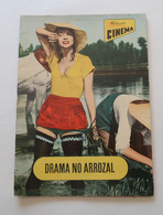 Portugal Revue Cinéma Movies Mag 1956 La Risaia Elsa Martinelli Falco Lulli Raffaello Matarazzo Italia Burt Lancaster - Bioscoop En Televisie