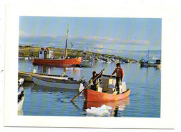 GROENLAND--Phot  Peter Juul --Enfant Et Père ( Bateau De Pêche ) ..............carte Double ..............à Saisir - Groenland