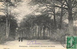 Champrosay * Forêt De Sénart * Le Carrefour Des Dames - Autres & Non Classés