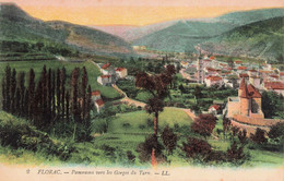 48 - FLORAC - S11339 - Panorama Vers Les Gorges Du Tarn - L1 - Florac