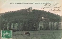 St Rémy Les Chevreuse * Le Château De Montgomery - St.-Rémy-lès-Chevreuse