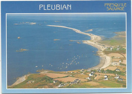 CPM   Pleubian  Sillon De Talberg - Pleubian