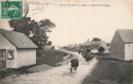 Bucy Le Roy * La Route D'artenay * Troupeau Vaches - Autres & Non Classés