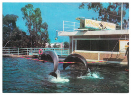 1980 USSR GEORGIA BATUMI Dolphinarium - Géorgie