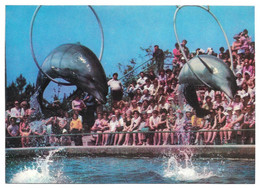 1980 USSR GEORGIA BATUMI Dolphinarium - Géorgie