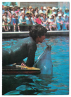 1980 USSR GEORGIA BATUMI Dolphinarium - Géorgie