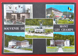 Cpsm BOHAN SUR SEMOIS Multivues Souvenir De Centre De Vacances De MONT LES CHAMPS - Vresse-sur-Semois