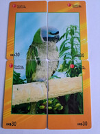 HONG KONG    PUZZLE /  SERIE 4 CARDS  / PARROTS/ ANIMAL     Complete SET      CARD USED   **12172** - Hong Kong