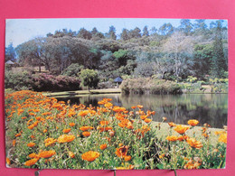 Visuel Très Peu Courant - Zimbabwe - Vumba Botanical Gardens Near Mutare - Joli Timbre - R/verso - Simbabwe