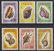 Comoros, Comores, 1962, Shells, Molusses, MNH, Michel 42-47 - Nuevos