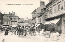 France - En Berry - Sancoins - Le Marché Aux Veaux - Edit. A. Auxenfans - Animé  - Carte Postale Ancienne - Saint-Amand-Montrond