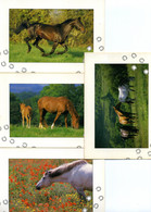 LE CHEVAL - 4 Cartes - Production Leconte (n°6401/6403/6406/6407) - Chevaux