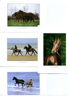 Ballade En Normandie - LE CHEVAL - Production Leconte -  4 Cartes N° GM 102/134/140/141 - Chevaux